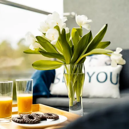 Silarent Zaciszna Apartament *